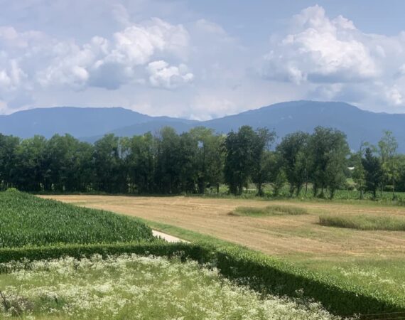 B&B Atmosfere Charme And Country a Udine